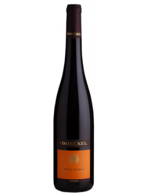 Pinot Noir K (Boeckel) - 2020 - 750ml