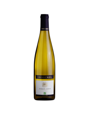 Pinot Gris (E.Bœckel) -...