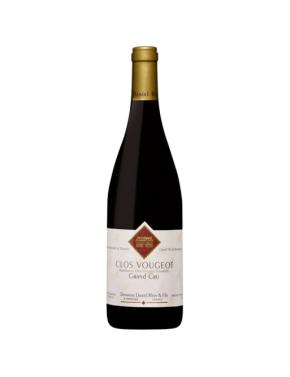 Clos de Vougeot Grand Cru (Domaine Daniel Rion & Fils) - 2013 - 750ml