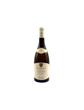 Santenay Sous La Roche (Roux Père et fils) - 2020 - 750ml