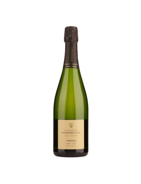 Champagne Terroirs Grand Cru Extra brut (Pascal Agrapart) - S/M - 750ml