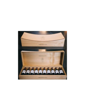 The Curve Carruades de Lafite: Caja con 10×750 ml grandes añadas (2×2009, 2×2010, 2×2014, 2×2015, 2×2016) – S/M – Colección