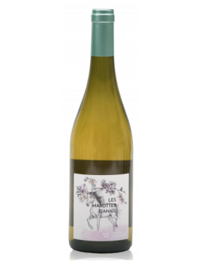Calvi Les Marottes d´Anaïs Blanc (Domaine Maestracci) - 2019 - 750ml