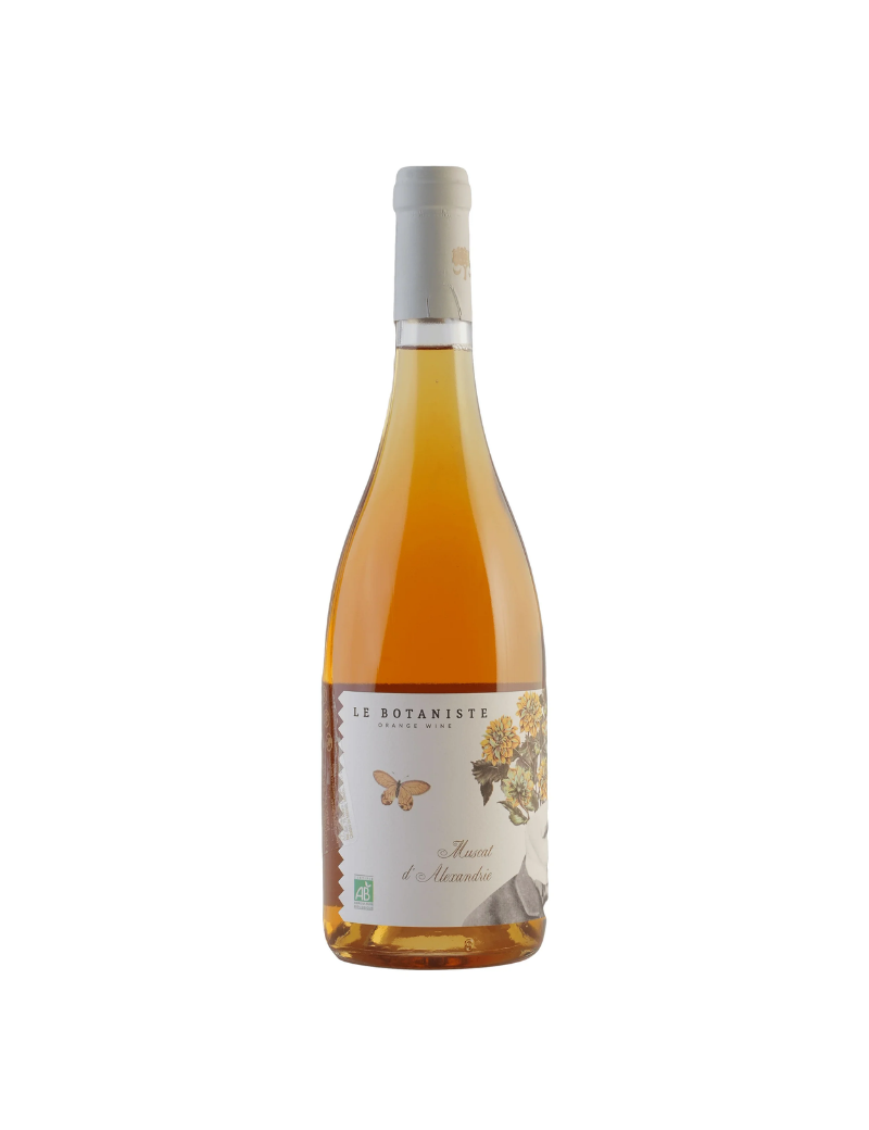 Le Botaniste Fig. 7 (Château Rombeau)