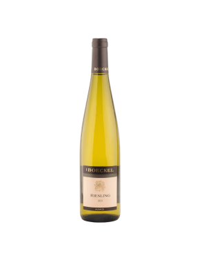 Riesling (Boeckel) - 2023 -...