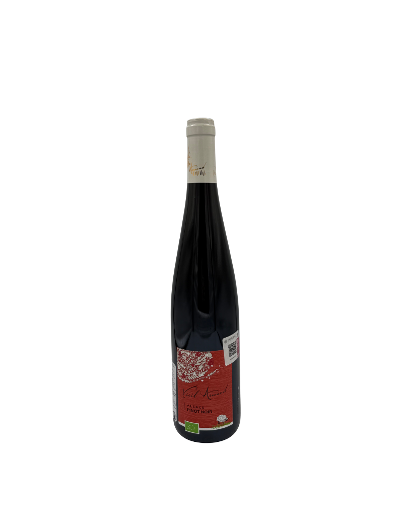 Pinot Noir BIO (Vieil Armand) - 2023 - 750ml