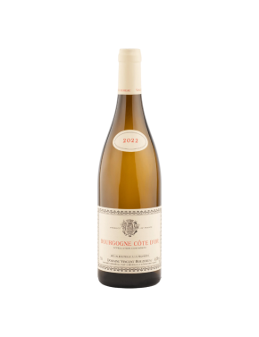 Bourgogne Côte d'Or (Domaine Vincent Bouzereau) - 2022 - 750ml