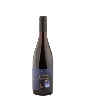 Costières de Nîmes (Halos de Jupiter) - 2022 - 750ml