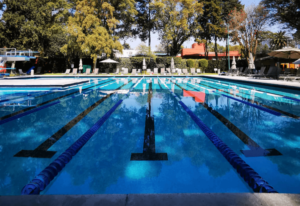 club france clases de natacion