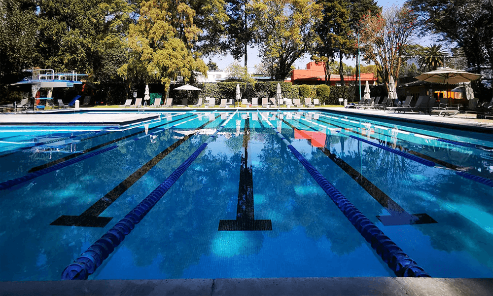 club france clases de natacion